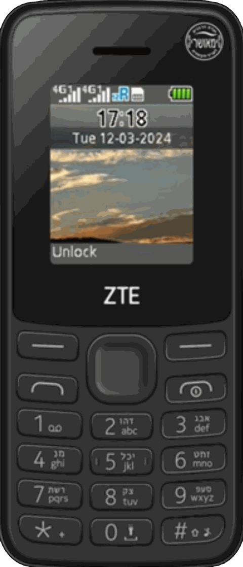 ZTE F100 4G kosher phone